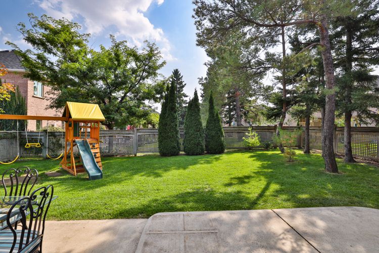 Image of rear yard